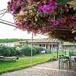 Limora' Tenuta Millaci * Mazzarino