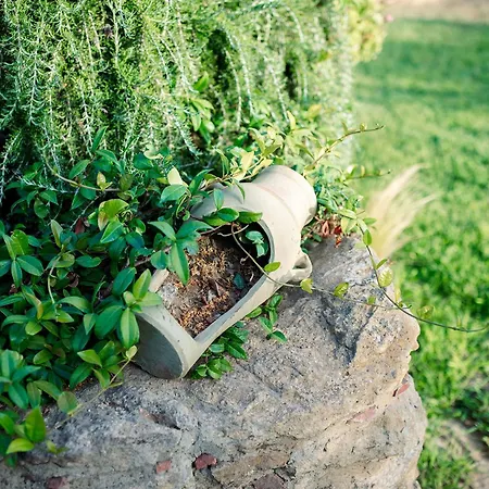 Agroturismo Limora' Tenuta Millaci Mazzarino